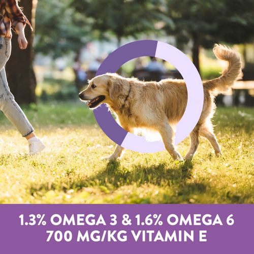 Dogswell Skin & Coat Soft & Chewy Salmon Dog Treats