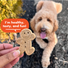 Buddy Biscuits Crunchy Peanut Butter Dog Treats