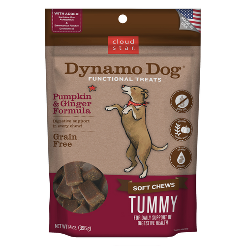 Cloud Star Dynamo Dog Tummy Soft Chews Grain Free Pumpkin & Ginger Dog Treats