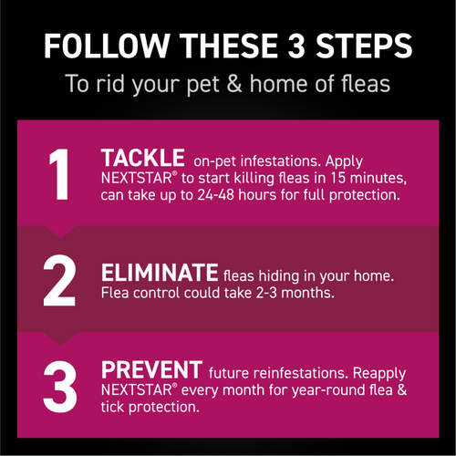 Nextstar Flea & Tick Spot on for Cats
