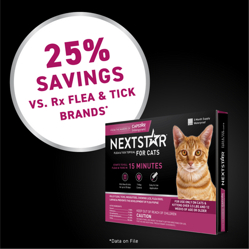 Nextstar Flea & Tick Spot on for Cats