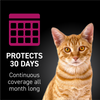 Nextstar Flea & Tick Spot on for Cats