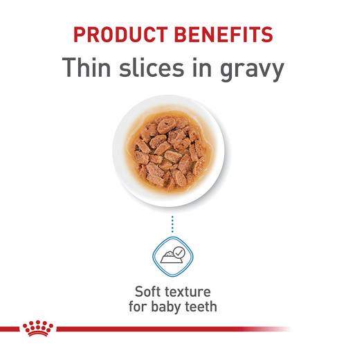 Royal Canin Size Health Nutrition X-Small Puppy Thin Slices in Gravy Wet Dog Food