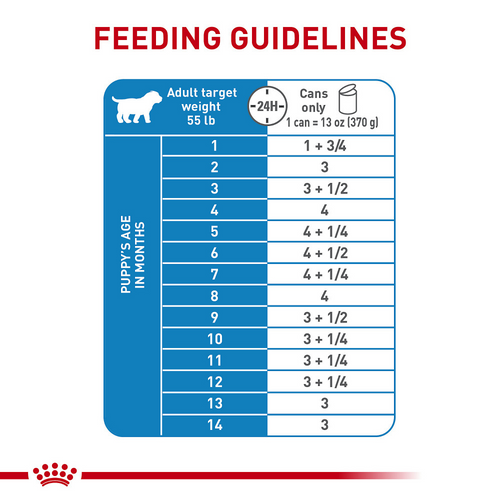 Royal Canin Size Health Nutrition Large Puppy Thin Slices in Gravy Wet Dog Food