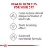 Royal Canin Feline Care Nutrition Dental Care Dry Cat Food