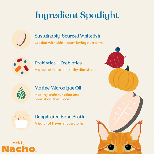 Made By Nacho Skin And Coat Support Sustainably Caught Whitefish & Pumpkin Recipe