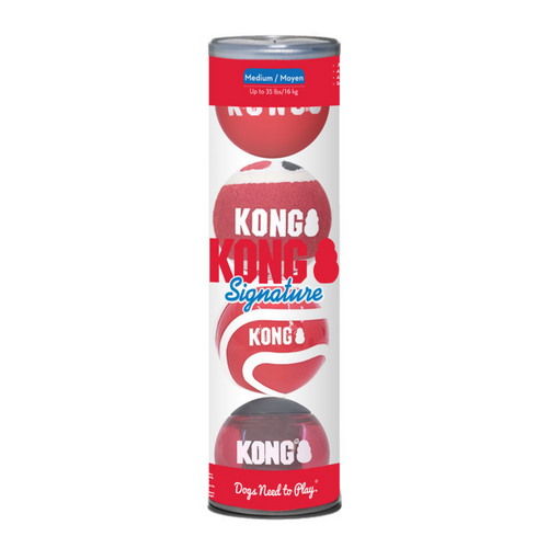 KONG Signature Balls 4 pack Assorted