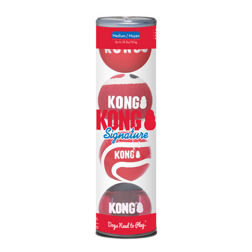 Kong Signature Balls 4 pack Assorted