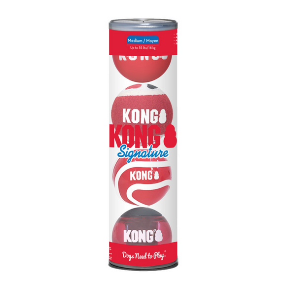 Kong Signature Balls 4 pack Assorted