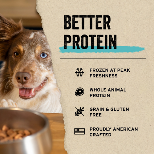 Vital Essentials Freeze Dried Raw Protein Mix In Chicken Recipe Mini Nibs Topper for Dogs