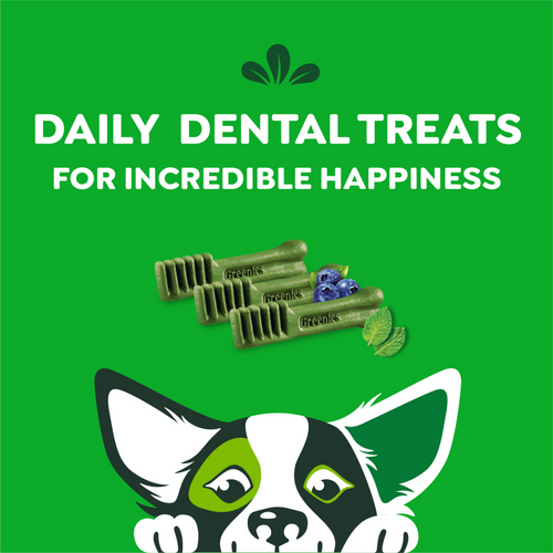 Greenies Petite Dental Chews Flavored with Spearmint and Blueberry Dog Treats