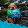 Earthborn Holistic Earthbites Chewy Salmon Dog Treats