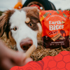Earthbites Chewy Bison Dog Treats
