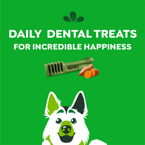 Greenies Dental Bone Sweet Potato