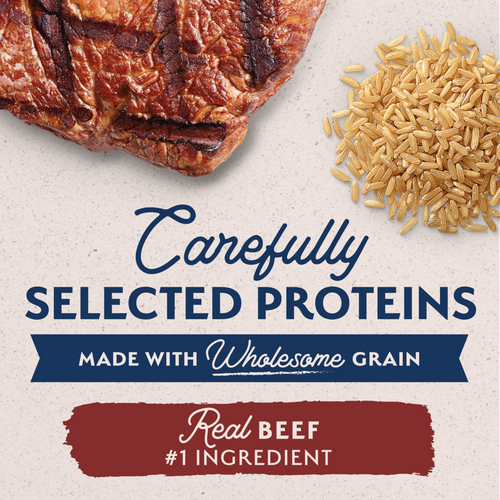 Natural Balance Limited Ingredient Wet Dog Food, Beef & Brown Rice Recipe