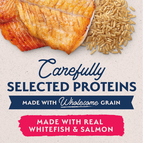 Natural Balance Limited Ingredient Wet Dog Food, Whitefish, Brown Rice & Salmon Recipe