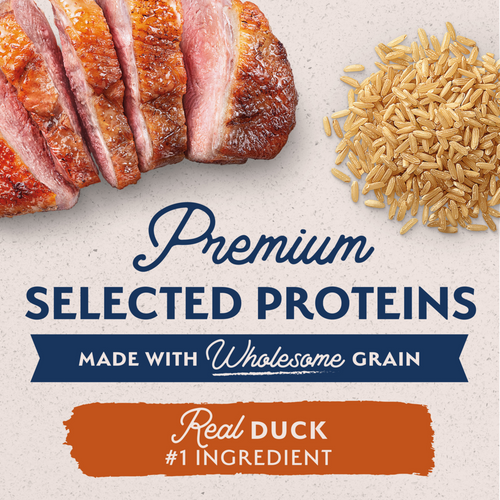 Natural Balance Limited Ingredient Reserve Wet Dog Food, Duck & Brown Rice Recipe