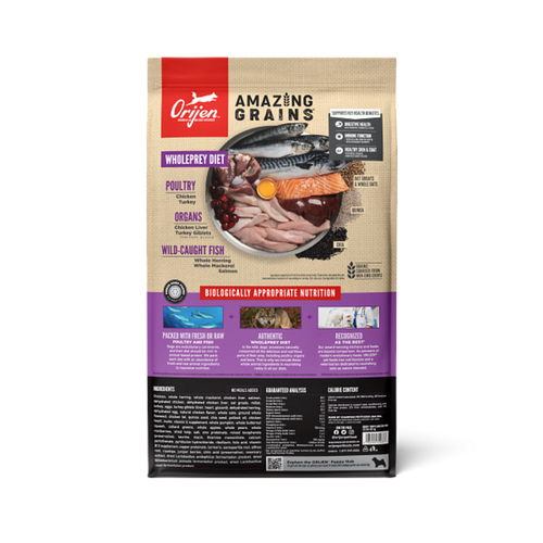 Orijen High Protein Amazing Grains Large Breed Puppy Dry Dog Food