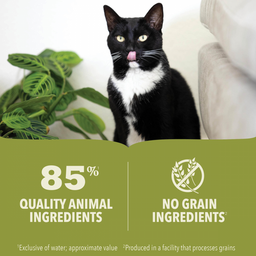 Acana Premium Pt Canned Cat Food Chicken & Fish