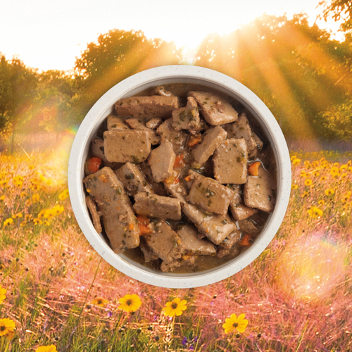 ACANA Premium Chunks Grainfree Beef Recipe in Bone Broth Wet Dog Food