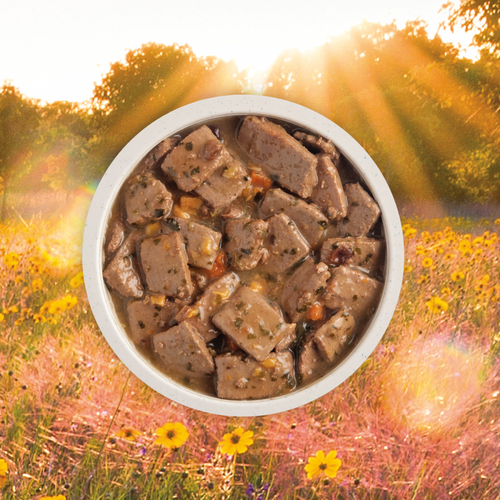 Acana Premium Chunks Canned Dog Food Pork