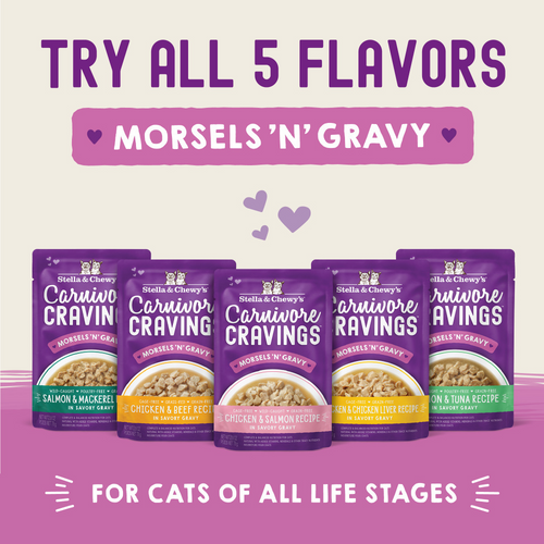 Stella & Chewy's Carnivore Cravings Morsels N Gravy Chicken & Beef Recipe Pouch Cat Food