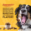 NaturVet Scoopables Advanced Probiotic & Enzymes for Dogs