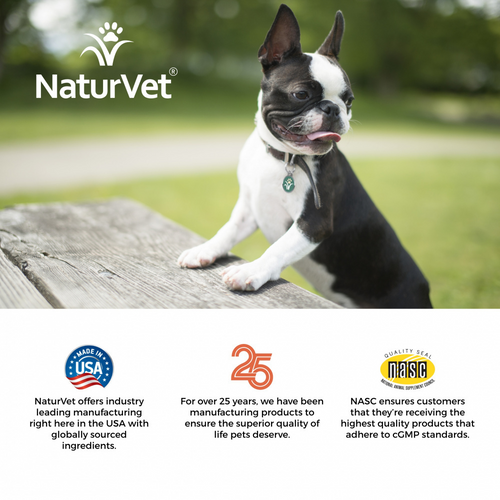 NaturVet Scoopables Advanced Probiotic & Enzymes for Dogs