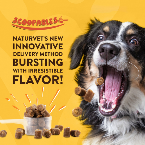 NaturVet Scoopables All in One for Dogs