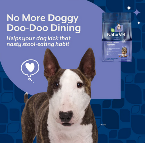 NaturVet Scoopables Coprophagia Stool Eating Deterrent for Dogs