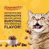 NaturVet Scoopables Digestive Enzymes plus Pre & Probiotics for Cats