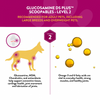 NaturVet Scoopables Glucosamine DS plus MSM for Dogs