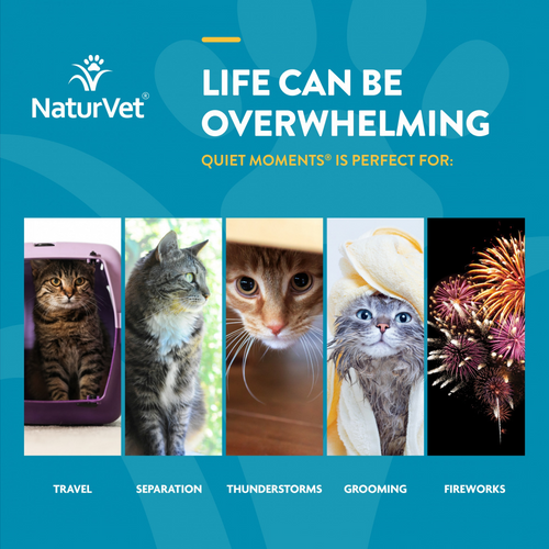 NaturVet Scoopables Quiet Moments for Cats