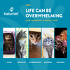 NaturVet Scoopables Quiet Moments for Cats