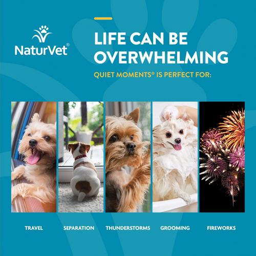 NaturVet Scoopables Quiet Moments for Dogs