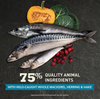 Acana Highest Protein Wild Atlantic Dry Cat Food