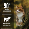 Orijen Grain Free Regional Red Dry Cat Food
