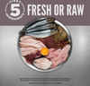 Orijen Grain Free Fit & Trim Dry Cat Food