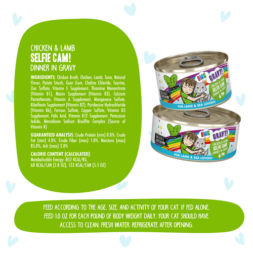 Weruva BFF Oh My Gravy Selfie Cam Grain Free Chicken & Lamb in Gravy Canned Cat Food