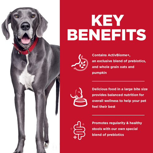 Hill's Science Diet Adult Perfect Digestion Large Breed Chicken, Brown Rice & Whole Oats Recipe Dry Dog Food,