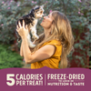 Acana Singles Freeze Dried Dog Treats Grain Free Lamb & Apple Recipe