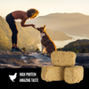 Orijen Freeze Dried Regional Red Dog Treats