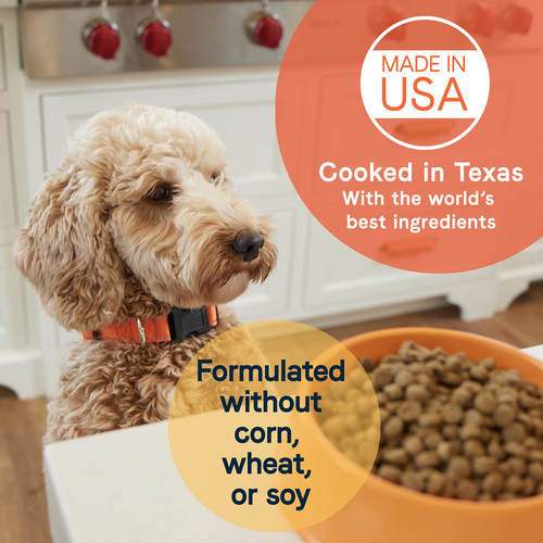Canidae All Life Stages Lamb & Ancient Grains Dog Food