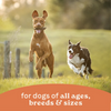 Canidae All Life Stages Wet Dog Food, Chicken & Rice Formula, 13 oz.
