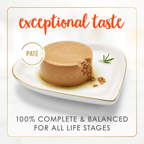 Fancy Feast Classic Pate Savory Salmon Wet Cat Food