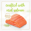 Fancy Feast Grilled Salmon and Gravy Wet Cat Food