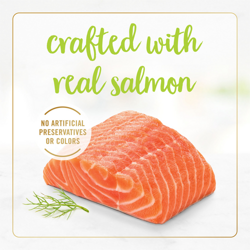 Fancy Feast Grilled Salmon and Gravy Wet Cat Food