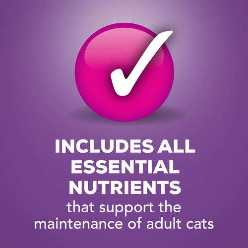 Friskies Pate Turkey & Giblets Wet Cat Food