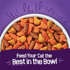 Purina Friskies Cat Food Surfin and Turfin Favorites Flavors of Chicken, Whitefish, Salmon and Filet Mignon Dry Cat Food