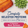 Natural Balance Limited Ingredient Wet Cat Food, Salmon & Green Pea Pate Recipe